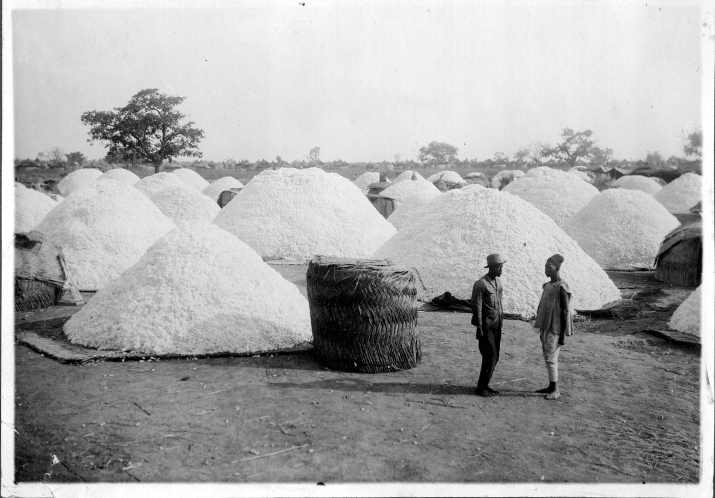 Marché du coton en Haute-Volta - btv1b101245448