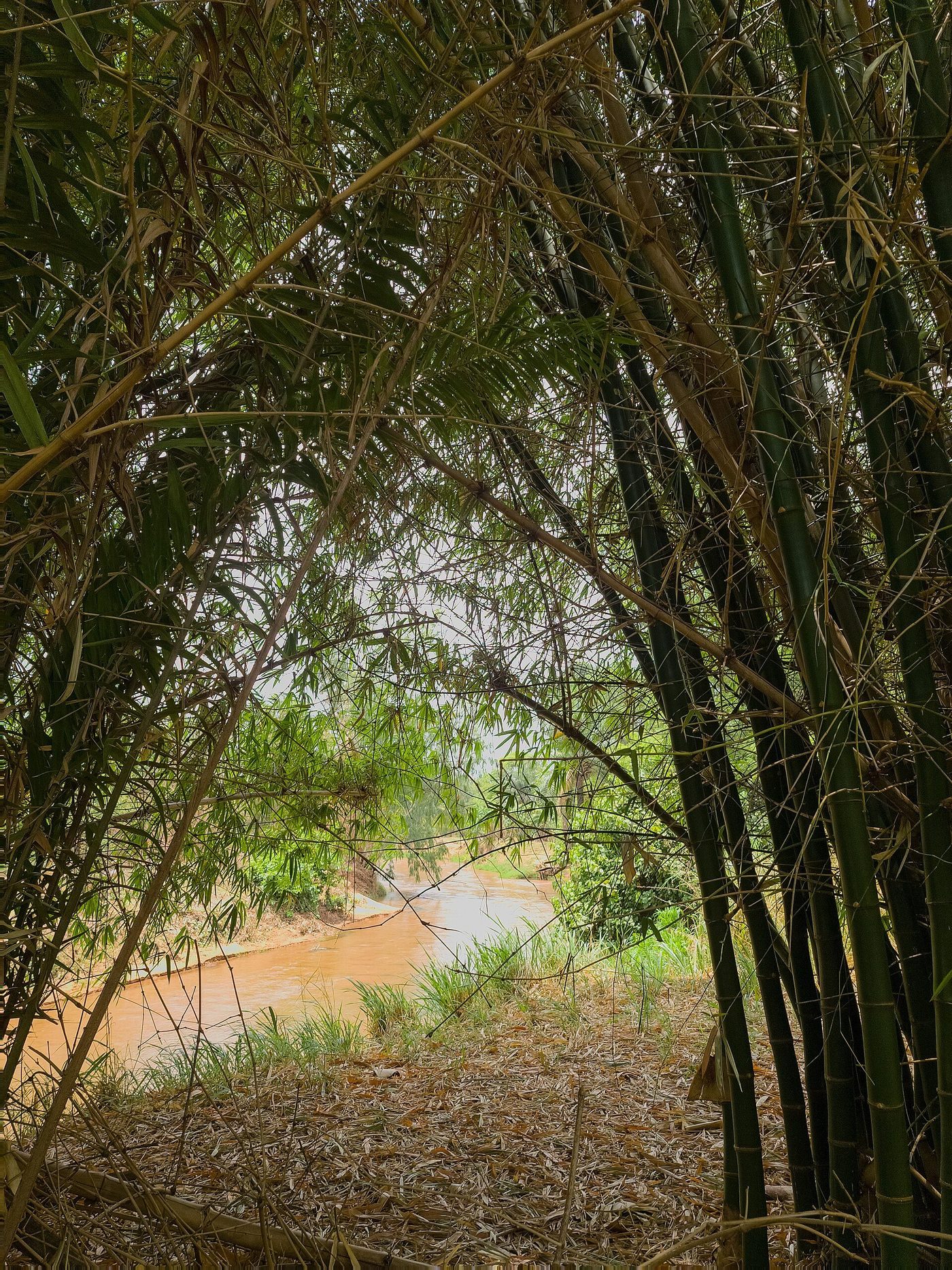 Guinguette à Nasso, Bobo-Dioulasso